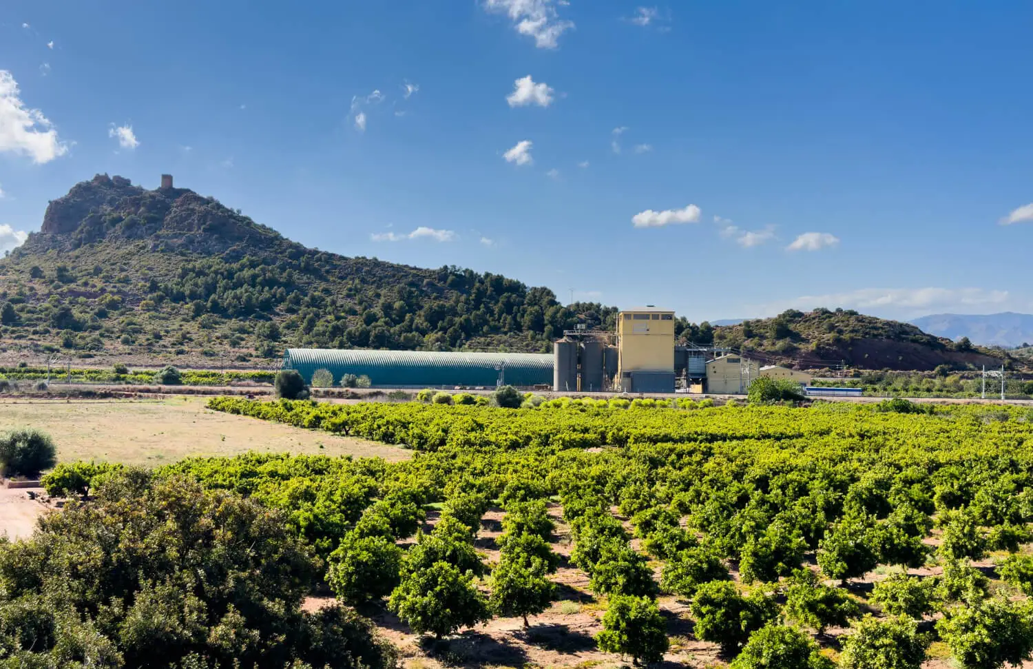 Campo agroindustrial con variables monitoreadas